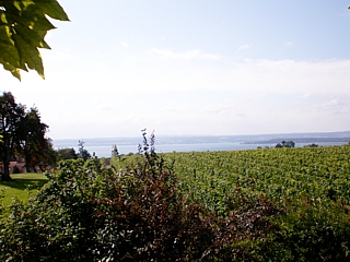 bodensee-meersburg